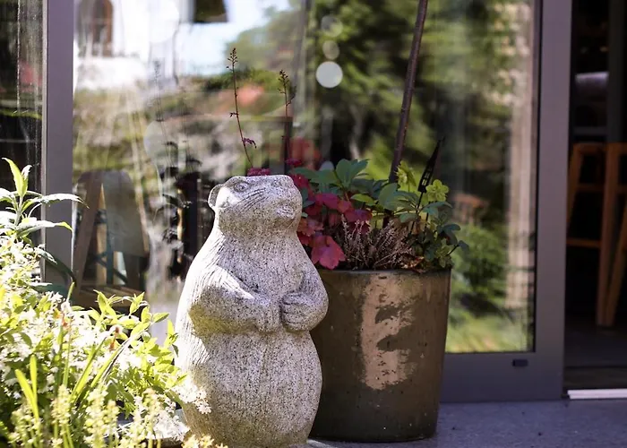 Zur Pfanne - アパートホテル 4*